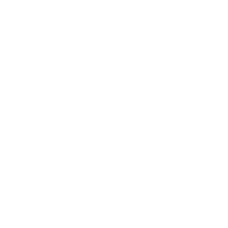 Minifiv Logo