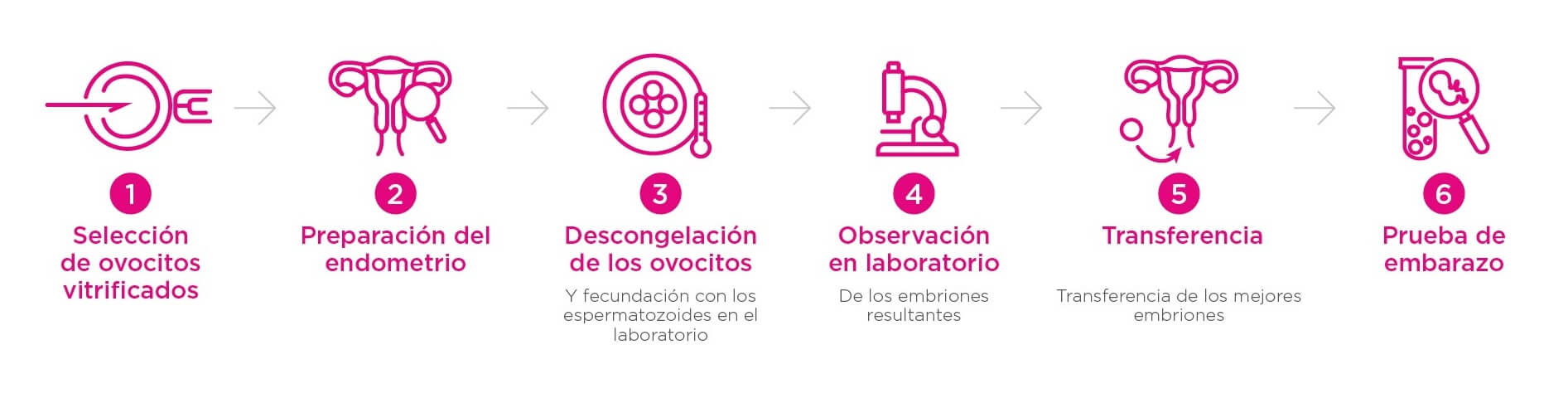 pasos tratamiento fertilidad ovodonación