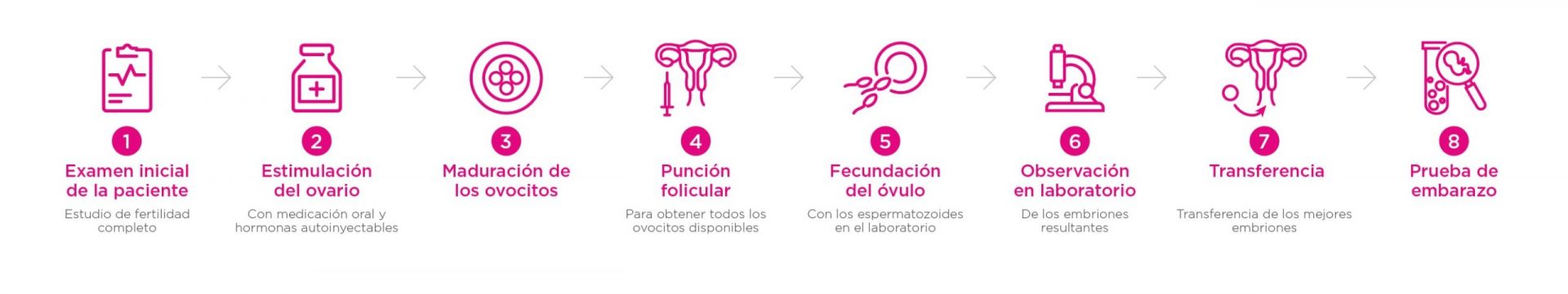 gráfico tratamiento miniFIV Madrid