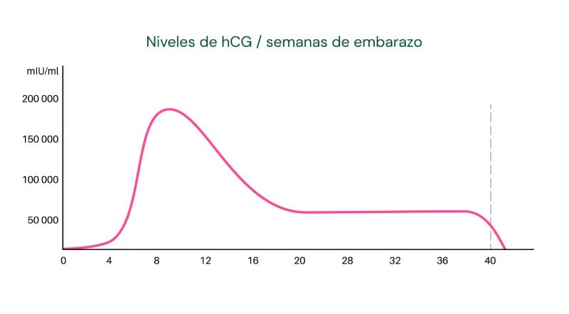 Esquema sobre la curva de duplicación de hCG