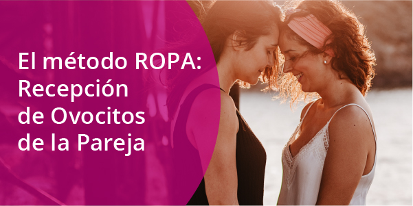 Descarga nuestra guía del método ROPA 