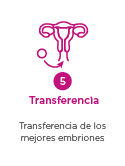 ovodonacion - paso 5: transferencia